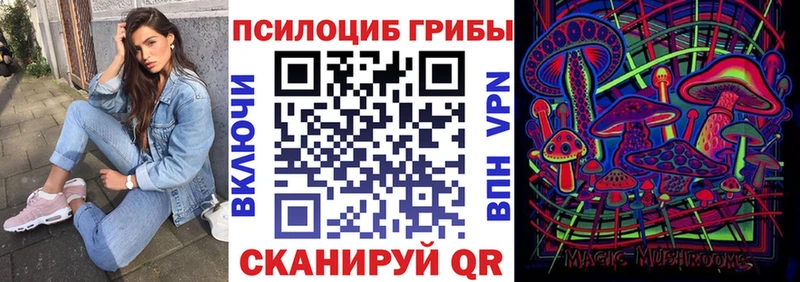 купить  сайты  Пыталово  Галлюциногенные грибы Psilocybe 